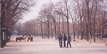 The Luxembourg Gardens