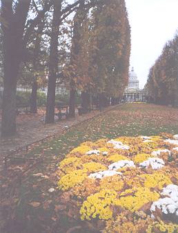 The Luxembourg Gardens